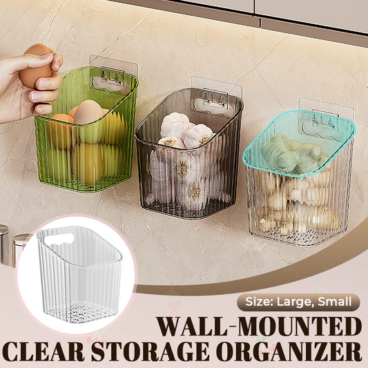 Wall-Mounted Clear Storage Organizer